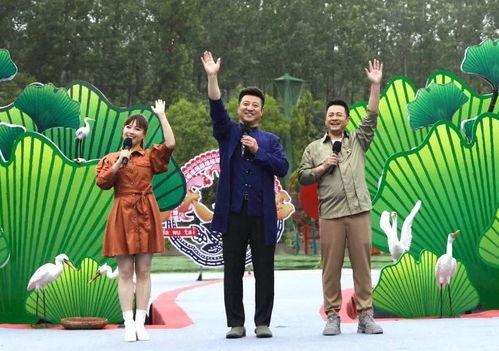 肥西女婿爆料视频最新网站,揭秘背后惊人真相  第1张